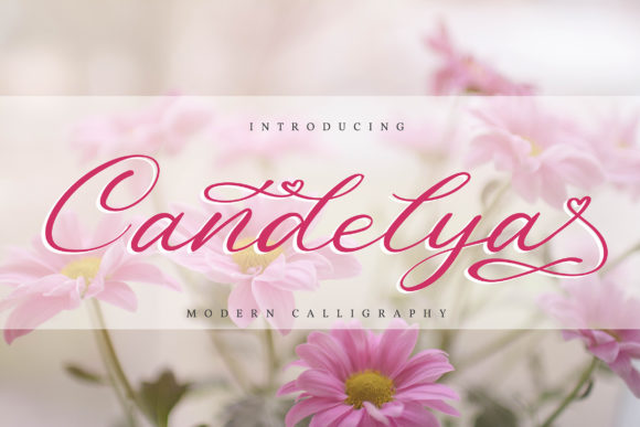 Candelya: A Delicate Handwritten Font for Web Design