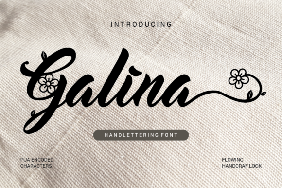 Galina Font for Campaign Creativity