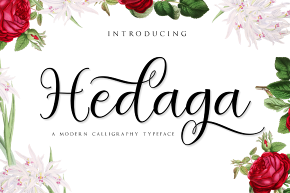 Hedaga Script Font Review