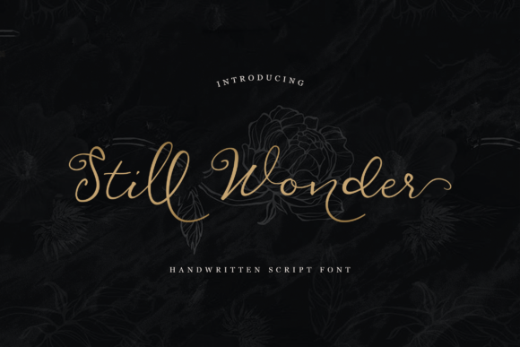 Still Wonder Font for Professional Branding