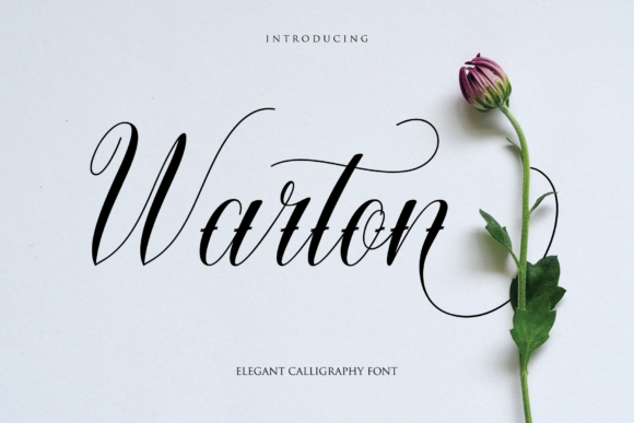 Warton: A Calligraphy Font with a Handwritten Touch